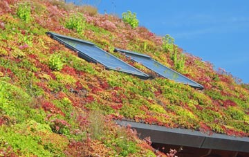 Paul living roof systems